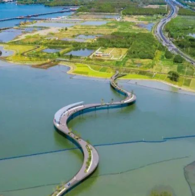 D8E08451-88E2-4319-809A-573DBD477484